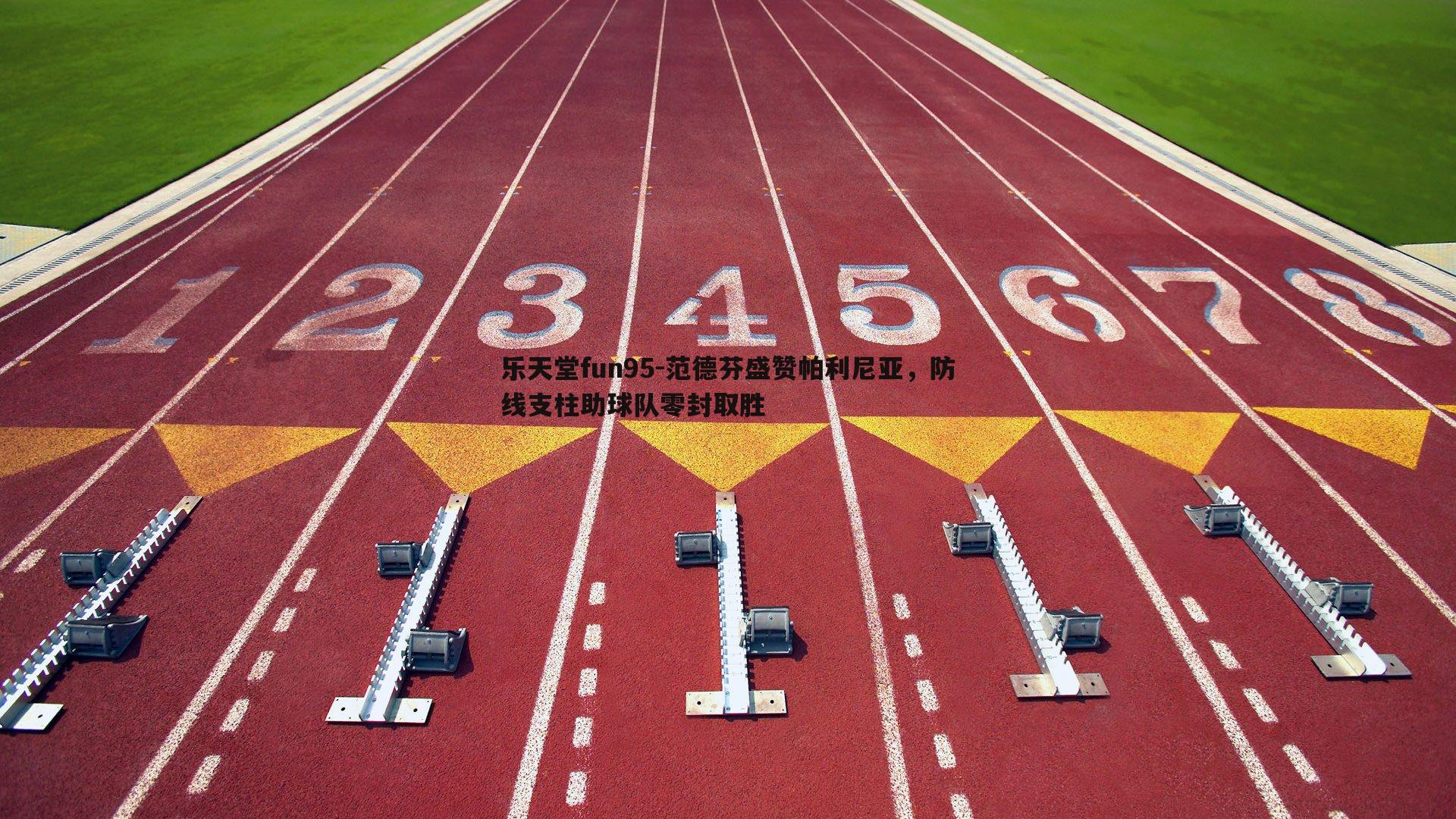 乐天堂fun95-范德芬盛赞帕利尼亚，防线支柱助球队零封取胜